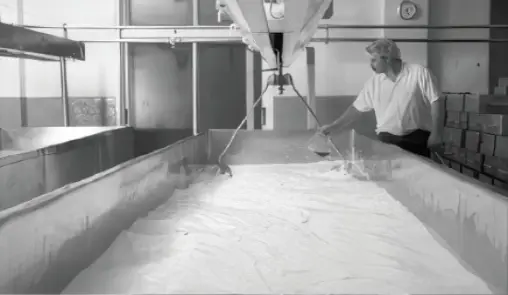 Cheese Making Process