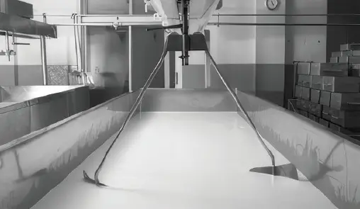 Cheese Making