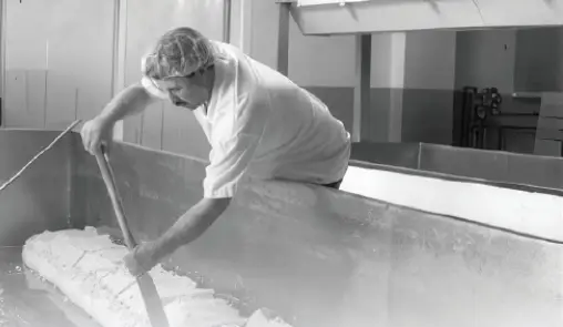 Cheese Making at Empire Cheese Co-op