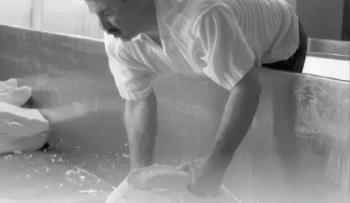 Chweese Making at Emppire Cheese and Butter Co-op